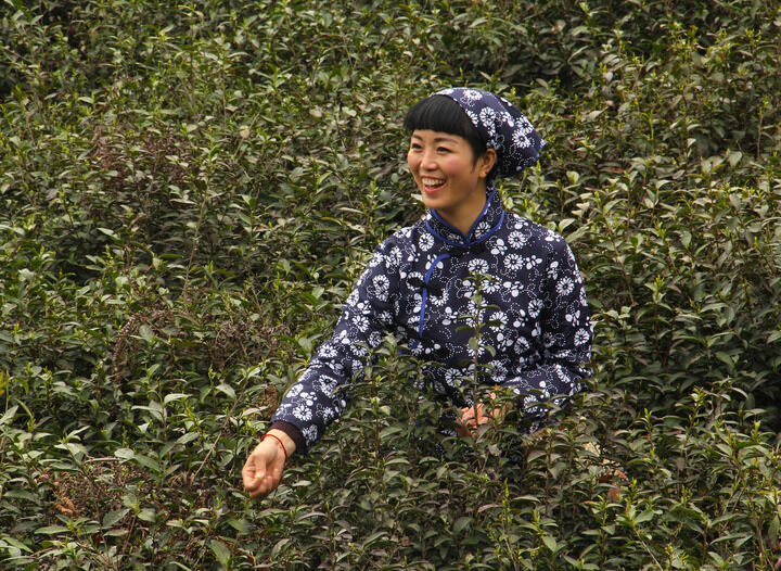 潮湿欲望